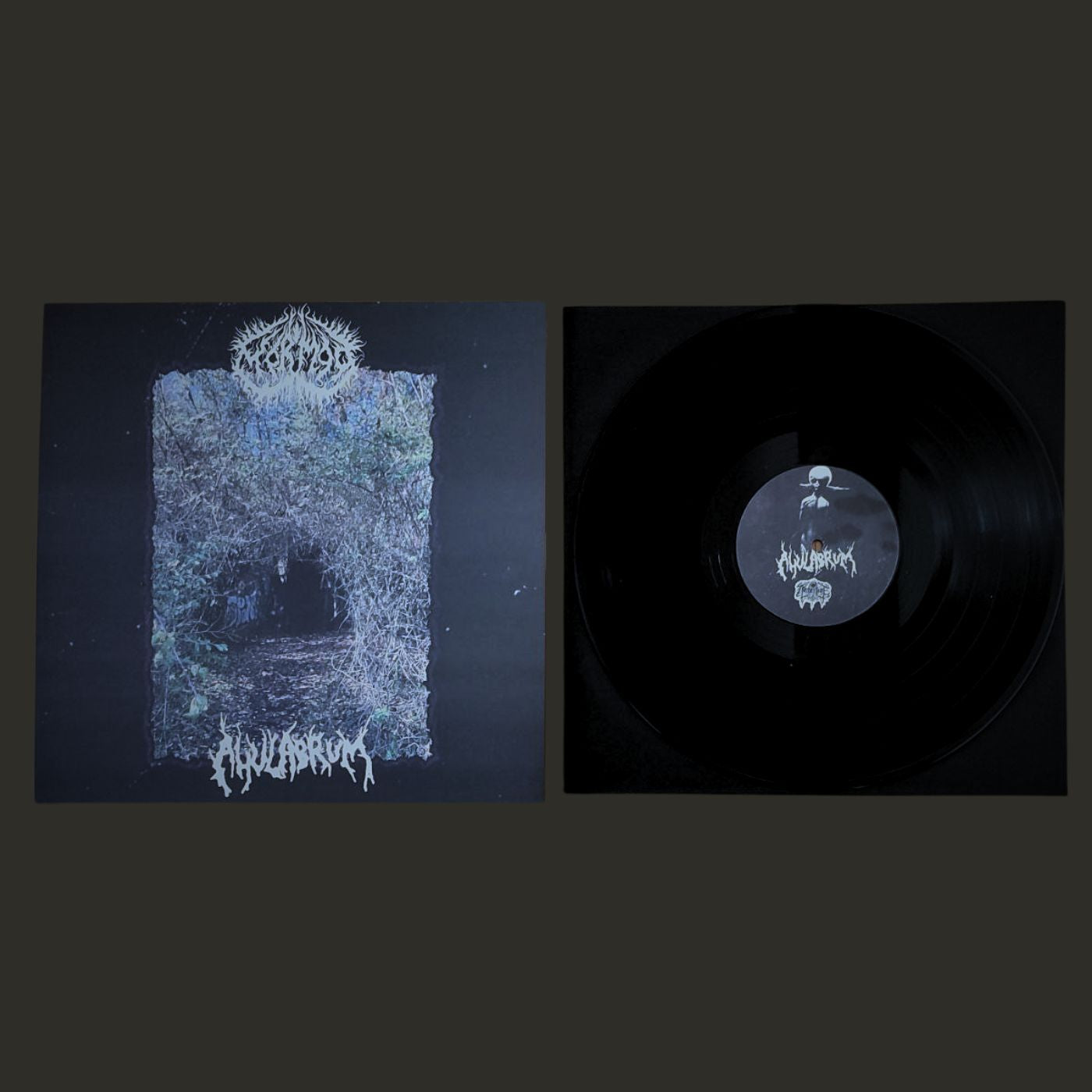 Ahulabrum (US) / Mörmoo (Fra) "Split" - 12" LP *New in stock*